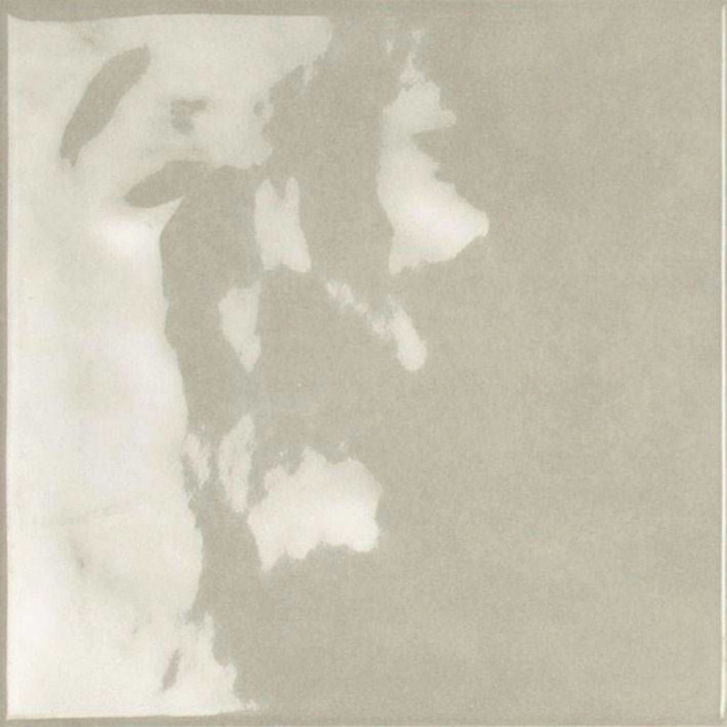 Earth Ash | The Stones & More Group