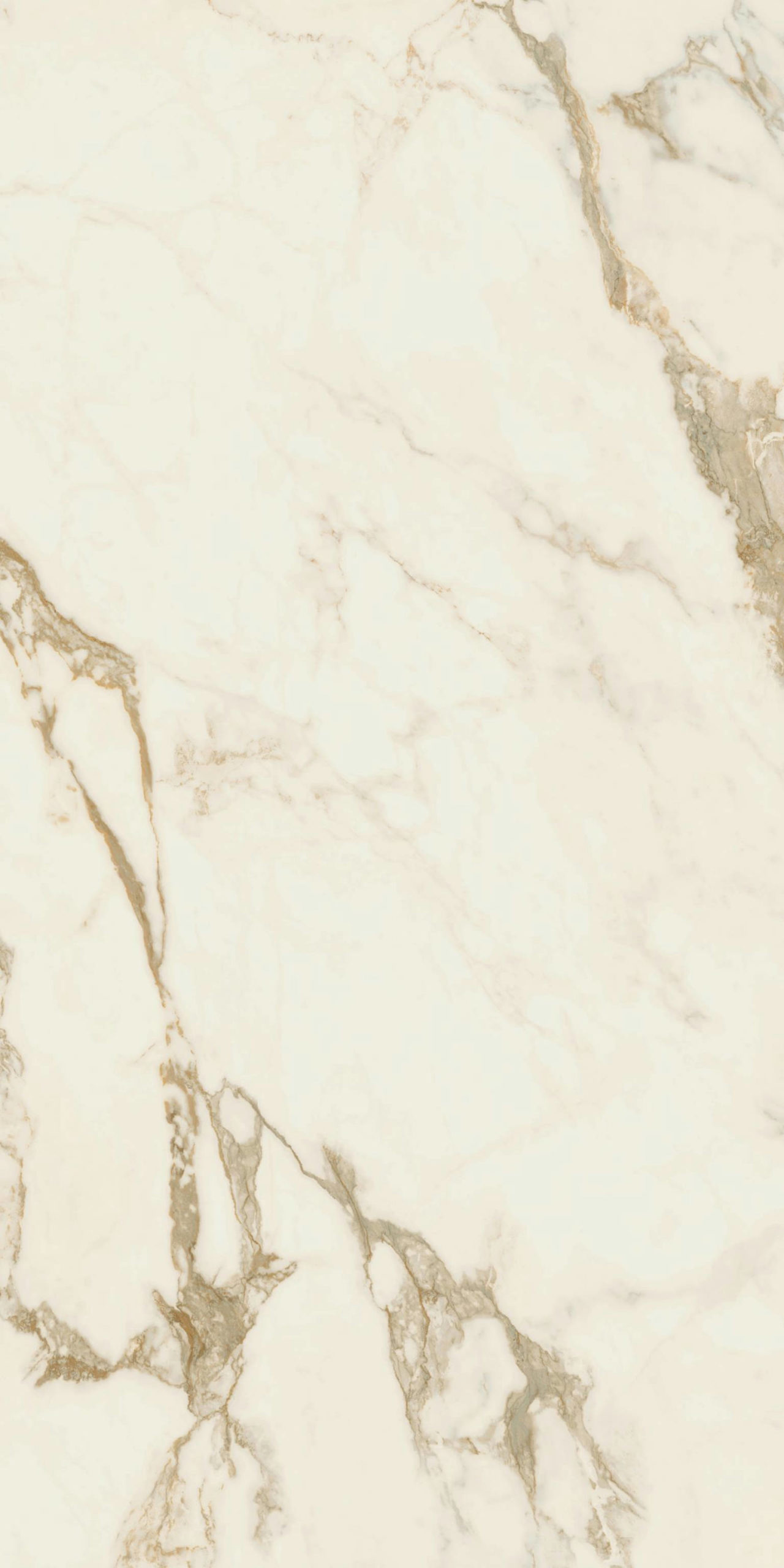 Prestige Calacatta Gold | Stones And More | Finest selection of Mosaics, Glass, Tile and Stone